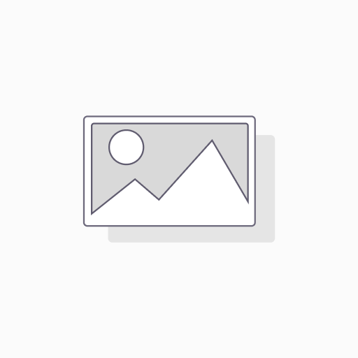 Corporate Partner